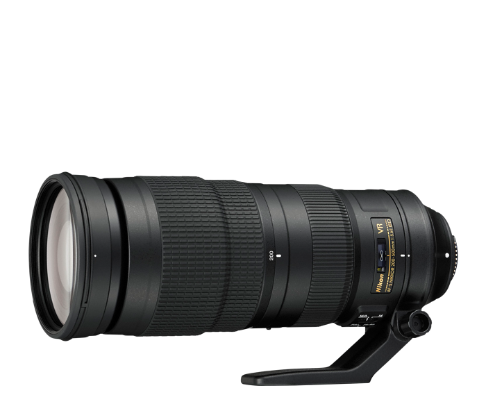 First month with the Nikon AF-S 200-500mm f/5.6E ED VR lens